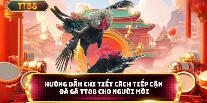 Hướng dẫn chi tiết cách tiếp cận trận đấu đá gà TT88